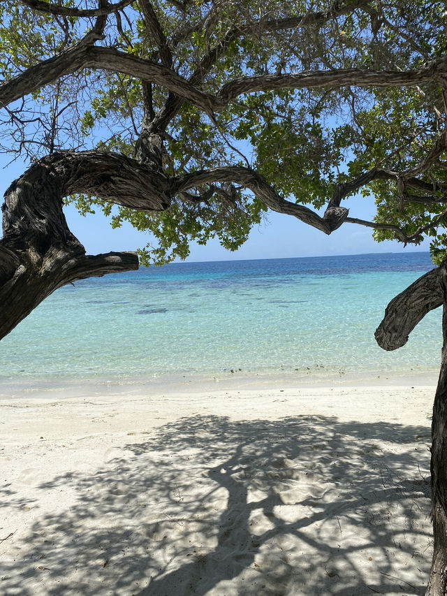 Venezuela Seaside: level up your beach game in Silva beach !