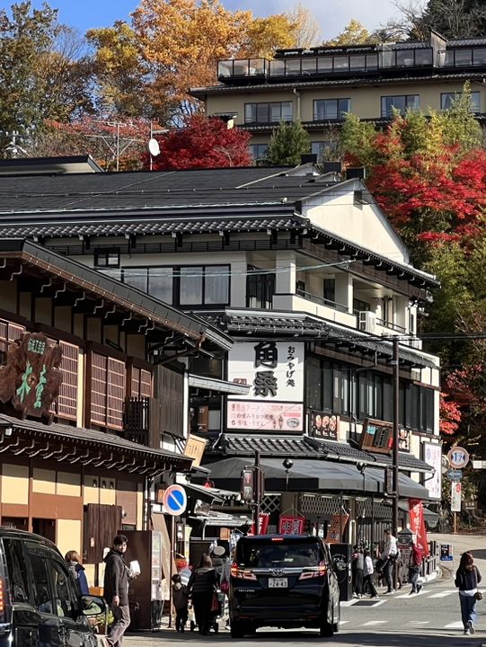 Nagoya to Takayama & Shirakawa-go 🏯🌿Day dream trip