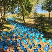 The Himalayan Garden & Sculpture Park