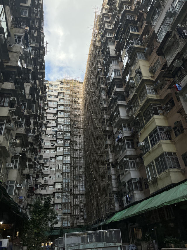 Hong Kong City Gems🌆