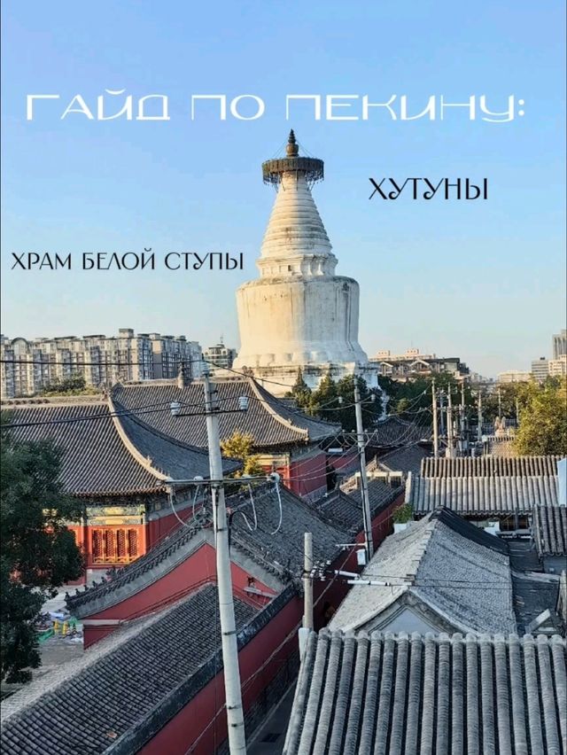 Гайд по Пекину: Аутентичные хутуны,Храм Белой Ступы и аптека Гайд по Пекину: Аутентичные хутуны,Храм Белой Ступы и аптека