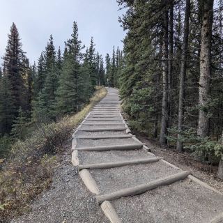 Denali National Park and Preserve