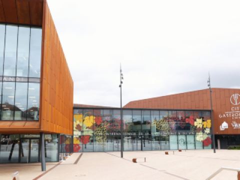 [The gourmet town of mustard and owls] Dijon, France