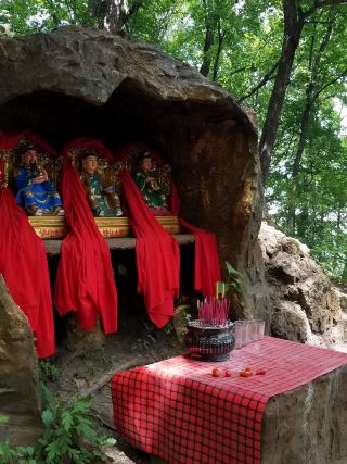 The Stream Trail – Cool Air and Green Light 💧