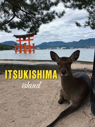 我為什麼要去日本嚴島（Itsukushima island）？