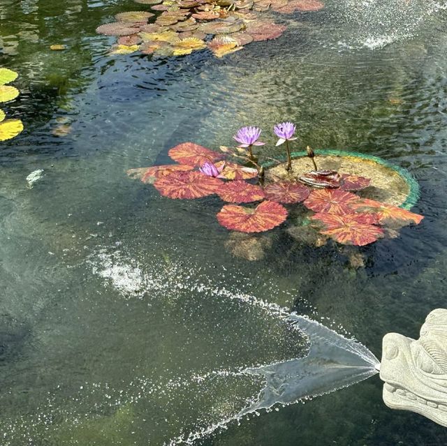 🪷志蓮淨苑 香港的世外桃源