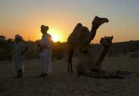 India Camel Festival