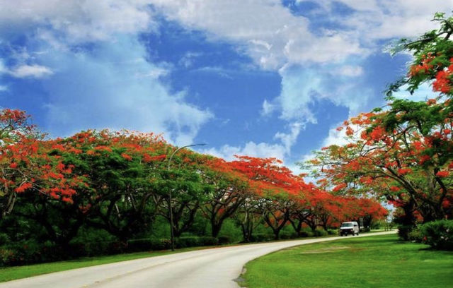 Saipan Island [Hidden Paradise]