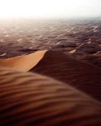 Footprints in the Dubai Desert - Unforgettable Memories Await 📍🌵