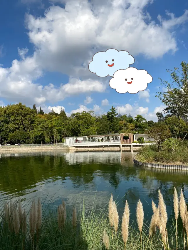 上海‖中山公園醉美