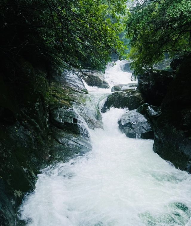 夏日避暑勝地，臥龍谷