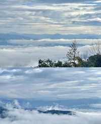 景迈山雲海|又是被大自然震撼的一天！