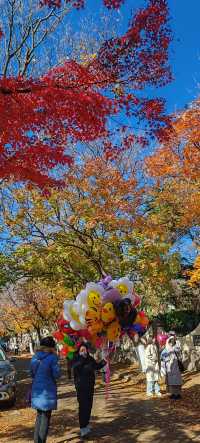 青島八大關異國建築群在色彩斑斕的閃爍下更加奪目迷人