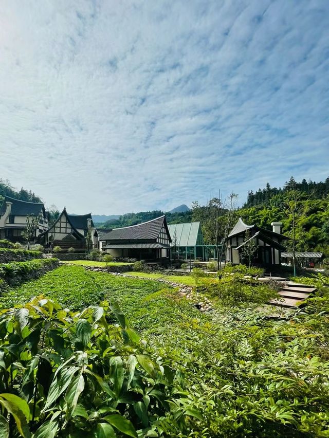 野玫瑰村溫泉|情人節，就泡在一起吧!