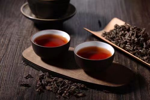 無論你是來麗江度假還是探險，這裡都會是你理想的家園