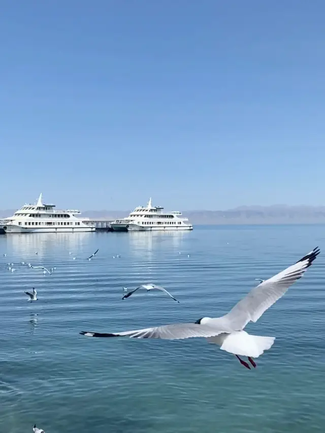 青甘大環線｜最も価値のある旅行ルートの一つ