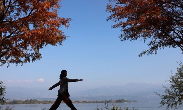 超治癒！快來打卡邛海濕地公園這些高顏值冬日秋景