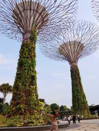 😱🌉Stunning! This part of Singapore is incredibly beautiful!