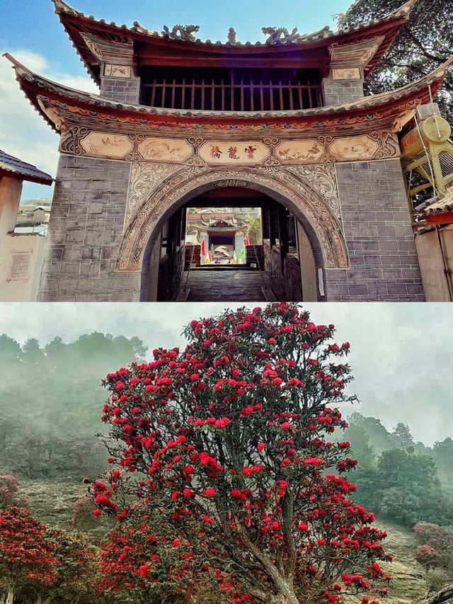真正就在這裡的秘境小城