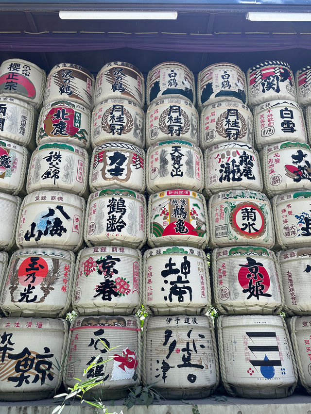 Tokyo, trip of a lifetime. A dream come true