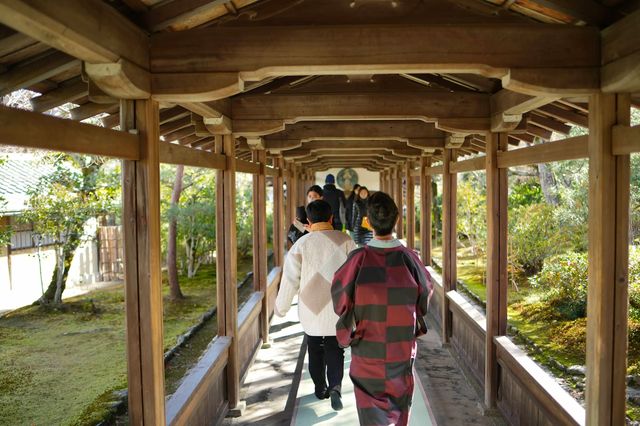 迷失在京都與奈良：嵐山、東大寺與奈良公園