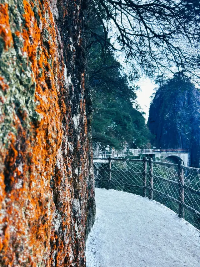 겨울의 요정 망산: 놀라운 풍경, 놓칠 수 없는 비밀의 장소