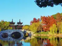 這難道就是