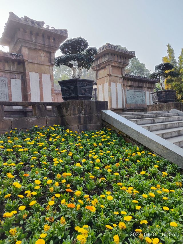 小寒節氣西山公園賞蠟梅