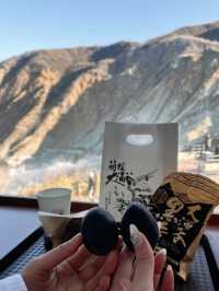 箱根一日🗻悠閒景點泡湯一網打盡！