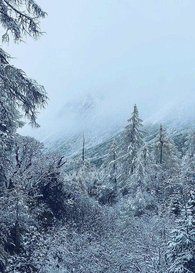 達古冰川景區旅遊風景