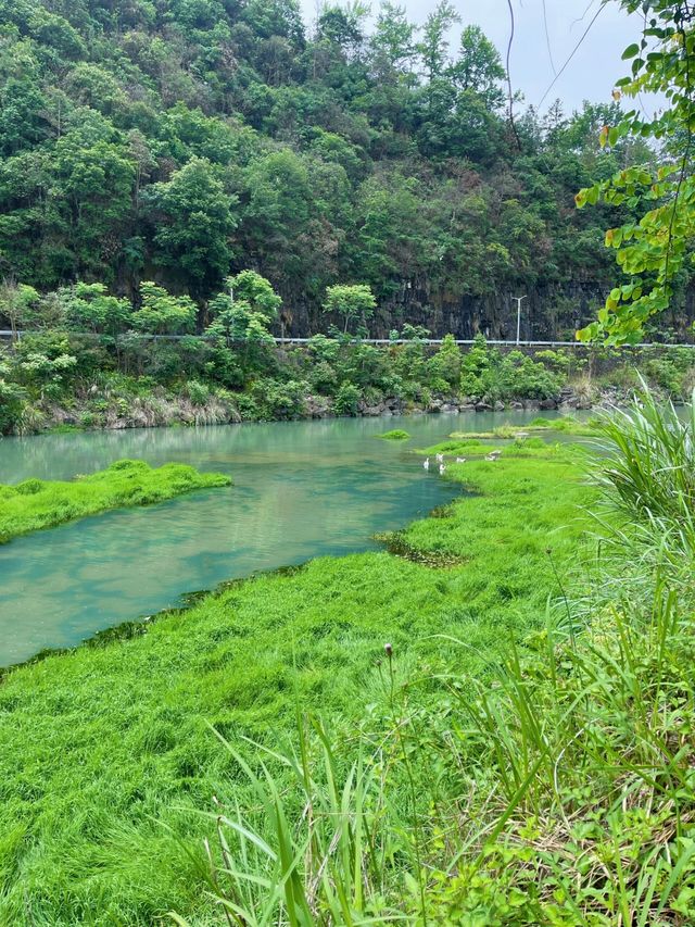 浙江泰順南浦溪享受山裡的漫時光