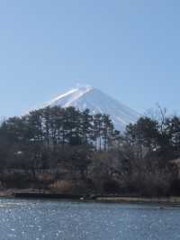 日本富士山河口湖必去地點大池公園景美超靜謐湖水雪山相映成趣