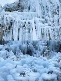 焦作丨雲台山冬季看冰瀑，鄭州周邊的冰雪奇緣丨河南行李寄存