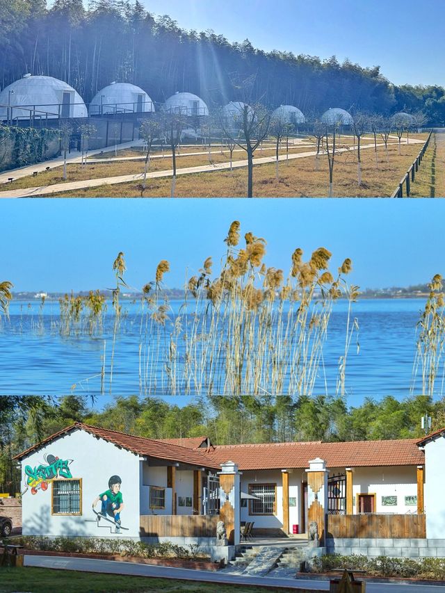 無露營不冬天｜藏在湖畔竹海的小眾露營地