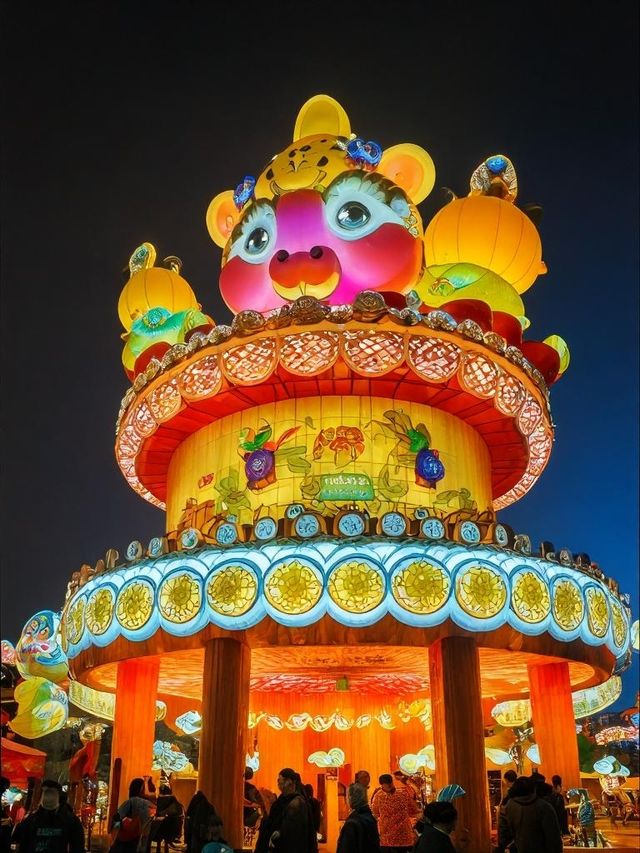 成都熊貓燈會:燈光邂逅熊貓力拼！