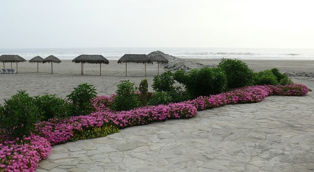 "花島島：神秘的島嶼，為何被譽為海上花園？"