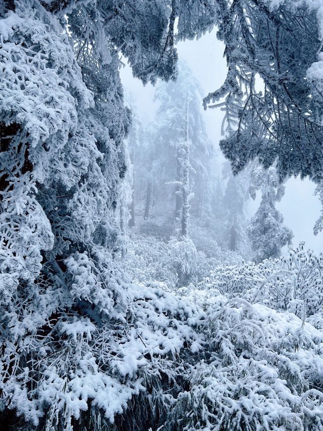 成都周邊，人少雪多，美呆了