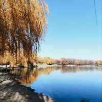 夢幻仙境，人間仙境美如畫，好山好水好風景