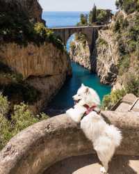 Summer Vibes from the Amalfi Coast in Italy: A Journey Through the Jewel of the Mediterranean!