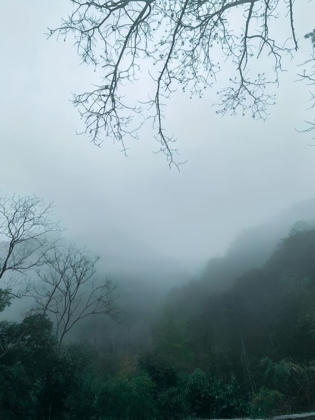 雲霧繚繞北雁蕩   仙俠意趣撲面來