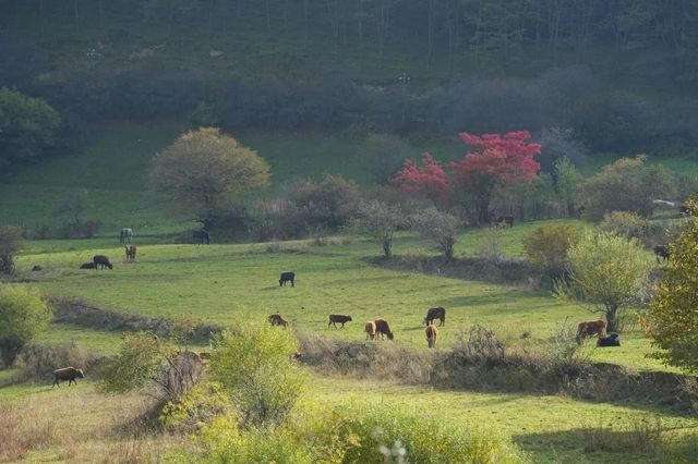 九寨溝不止有九寨溝