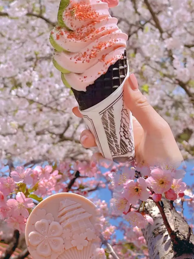 春日限定の無錫太湖鼋頭渚での桜観賞ガイド