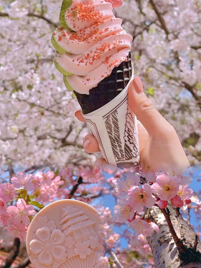 春日限定無錫太湖鼋頭渚賞櫻攻略