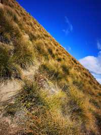 Roys Peak Track