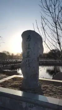 天津最適人的公園景點|天津水上公園