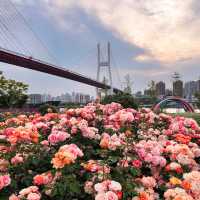 Your Trip to Shanghai