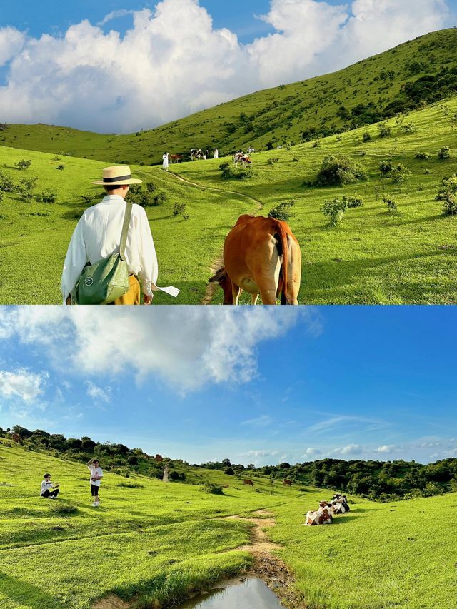 福建不僅有海島，還有福建版小瑞士～