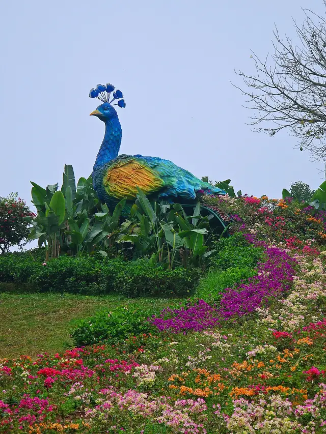 Dongguan Spring Flower Viewing Map