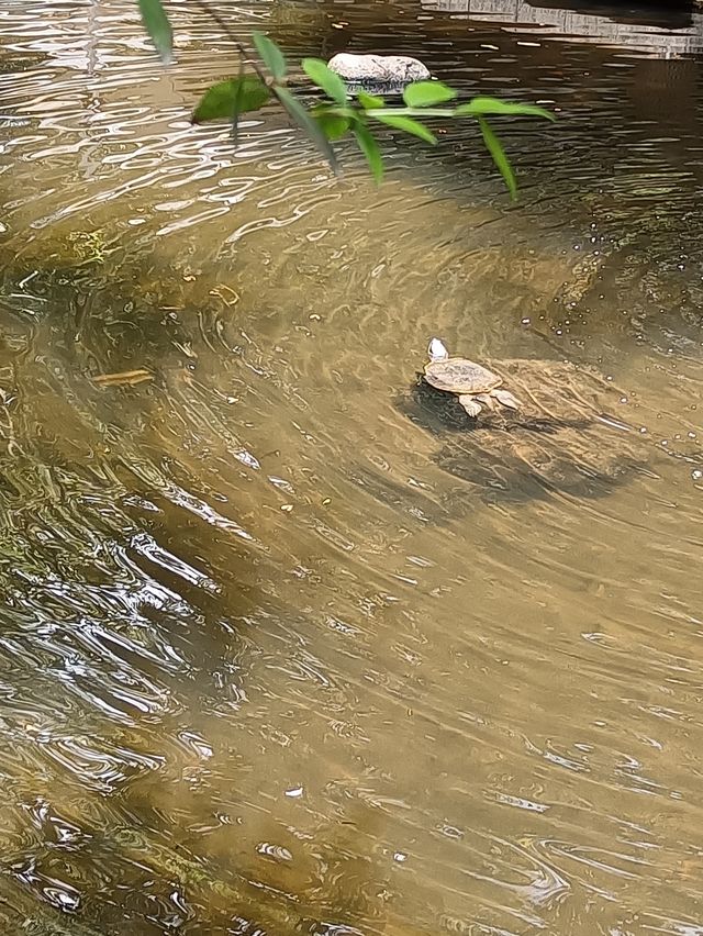 繁華靜安寺，幽靜八景園