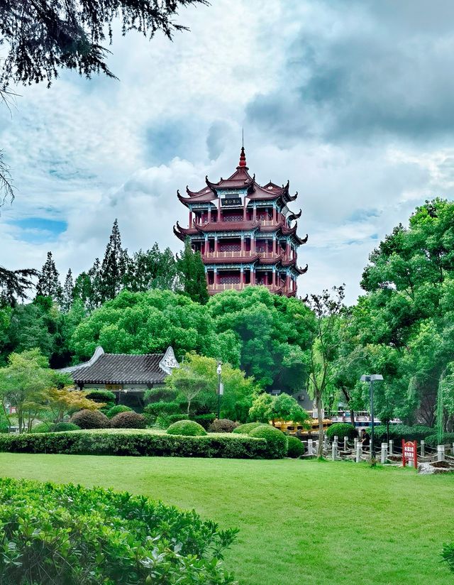 川沙公園|夏末時節，格外美麗